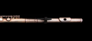 Close-up flute with Remic Microphone mounted