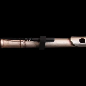 Close-up flute with Remic Microphone mounted