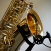 Sax mount