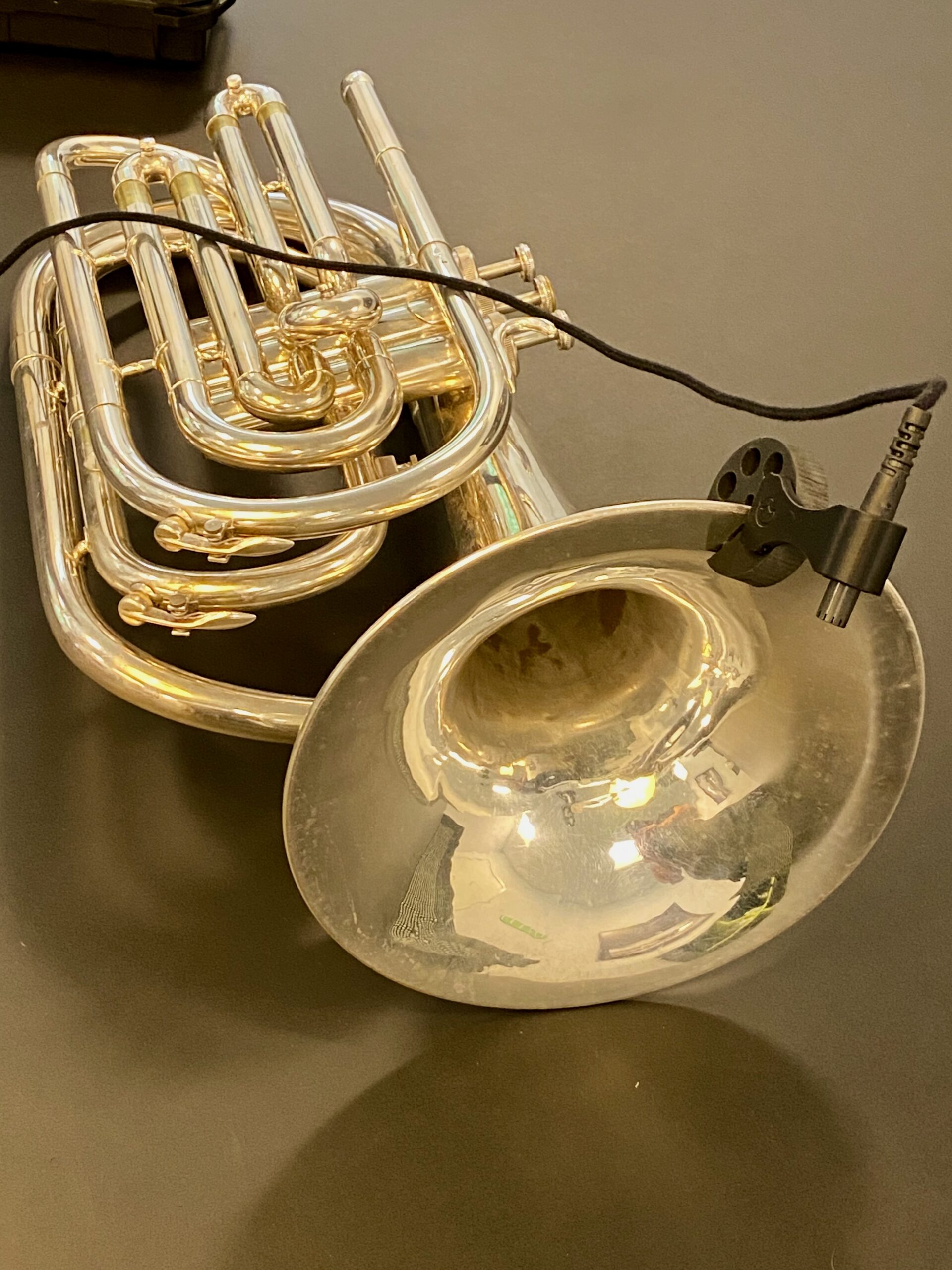 REMIC W3100LB WL6 for Brass Instruments - Image 2